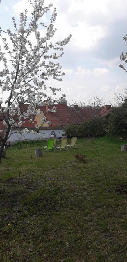 Plitzner Belvarosi Apartmanhaz Eger Bagian luar foto