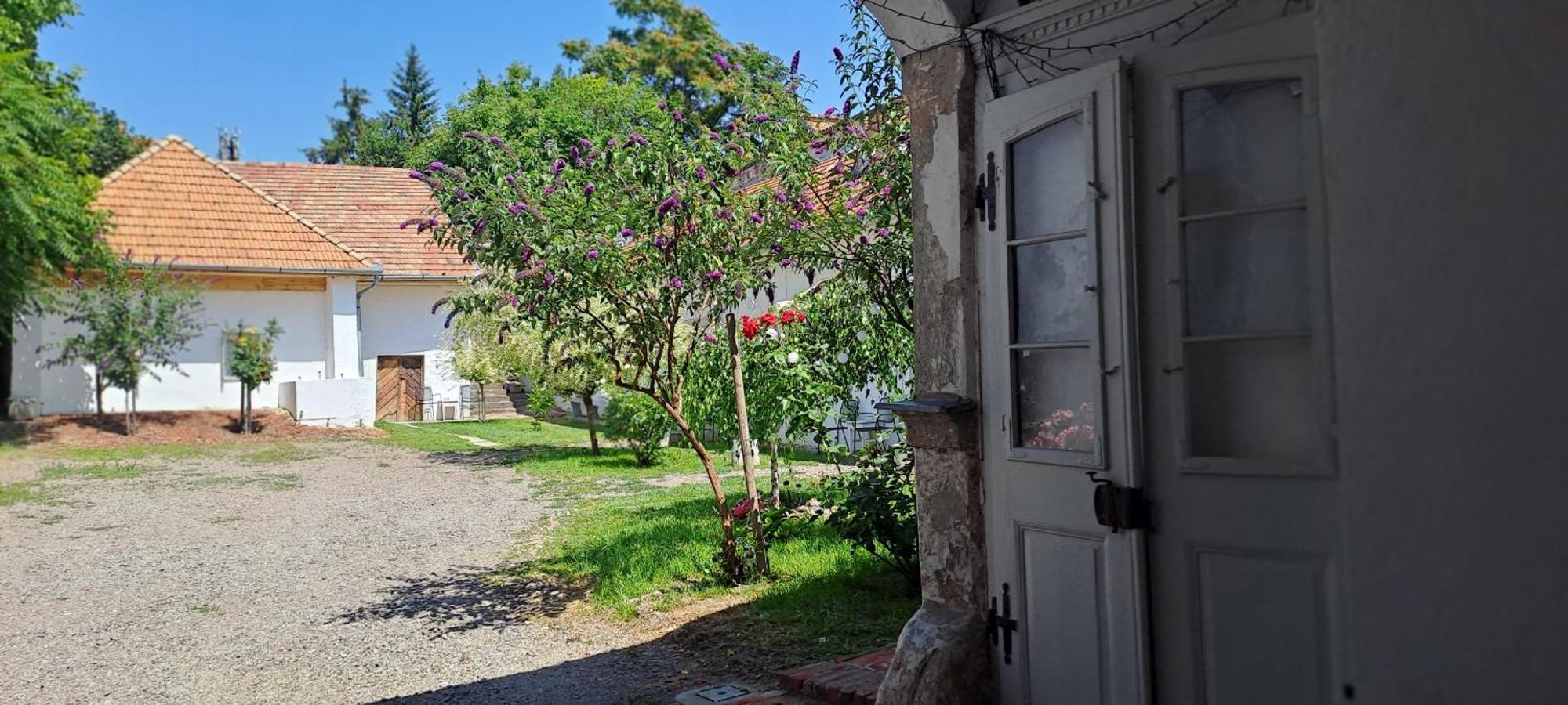 Plitzner Belvarosi Apartmanhaz Eger Bagian luar foto