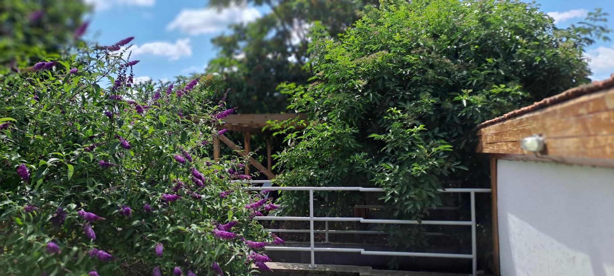 Plitzner Belvarosi Apartmanhaz Eger Bagian luar foto